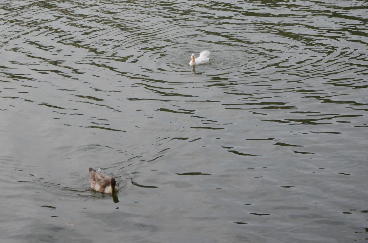 Kandy Waters Zewnętrze zdjęcie